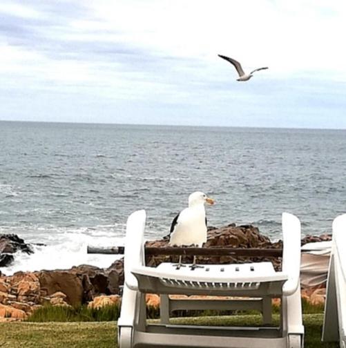 Beacon Island Resort Plettenberg Bay Ngoại thất bức ảnh